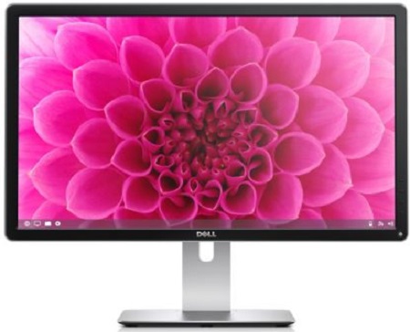 Монитор Dell P2415Q 23.8&quot; IPS (2415-1705)