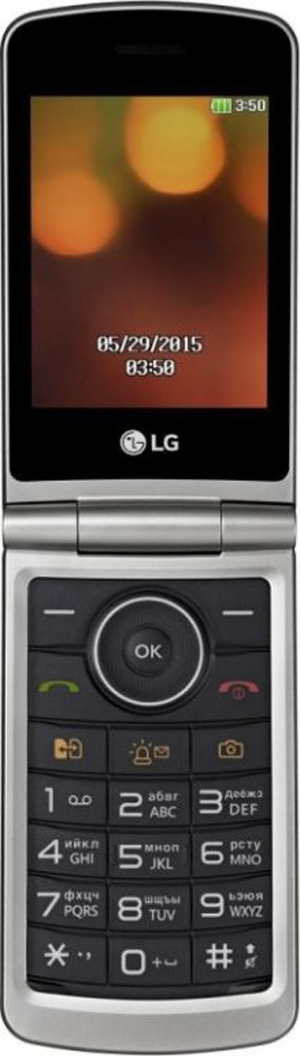 LG G360 - мобильный телефон (Titanium)