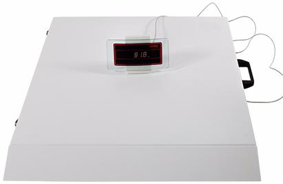 Soehnle Professional (7808.01.002) - медицинские весы с пантусом (White)