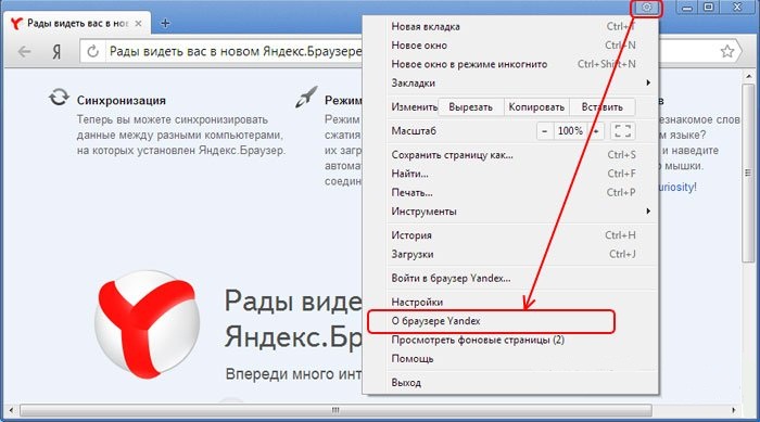 Как обновить Flash Player в Яндекс.Браузере