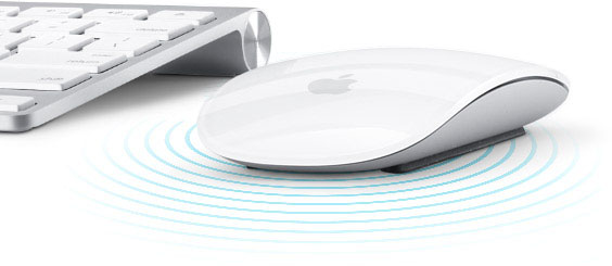 Apple Magic Mouse (MB829ZM/A) беспроводная мышь  купить в интернет-магазине icover