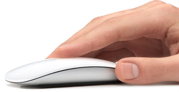 Apple Magic Mouse (MB829ZM/A) беспроводная мышь  купить в интернет-магазине icover