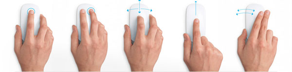 Apple Magic Mouse (MB829ZM/A) беспроводная мышь  купить в интернет-магазине icover