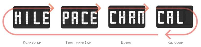 Браслет Nike+SportBand купить в интернет-магазине icover