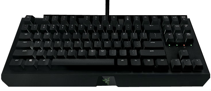 Игровая клавиатура Razer BlackWidow X Tournament RZ03-01770400-R3R1 (Black) купить в интернет-магазине icover