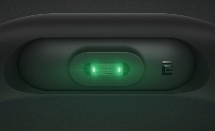 Фитнес-браслет Xiaomi Mi Band 2 + сменный силиконовый ремешок (Black) купить в интернет-магазине icover