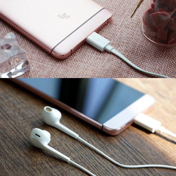 Наушники LeEco CDLA Type-C  (White) купить в интернет-магазине icover