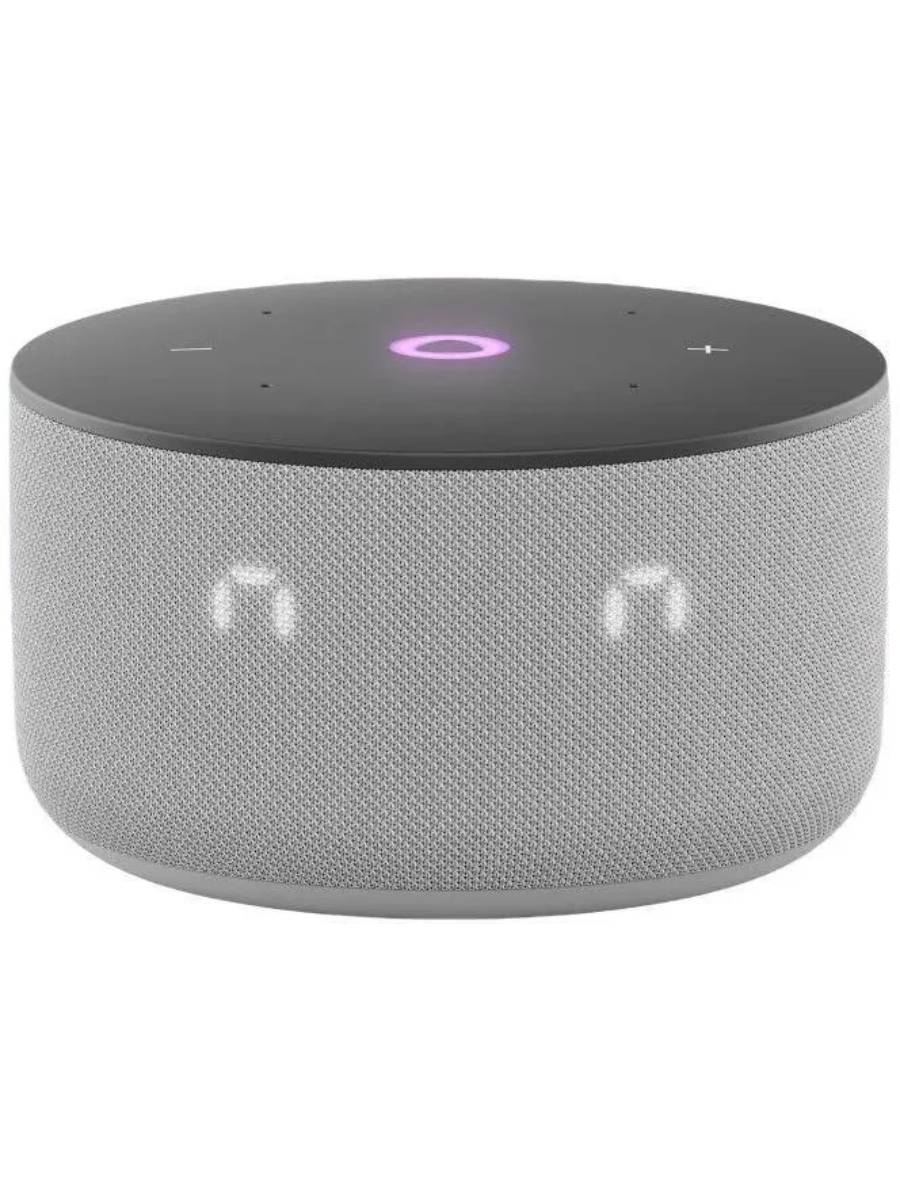 Умная колонка Яндекс Станция Мини 3 YNDX-00027 (Grey) купить в интернет-магазине icover