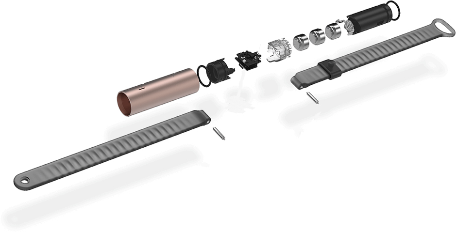 Misfit Ray Sport Band - фитнес-трекер (Stainless/White) купить в интернет-магазине icover