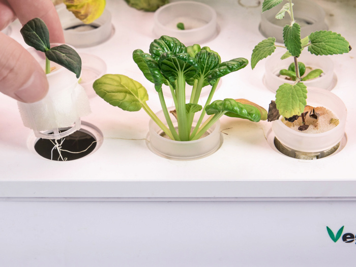 Домашняя ферма VegeBox H-BOX Level 3 (White) купить в интернет-магазине icover
