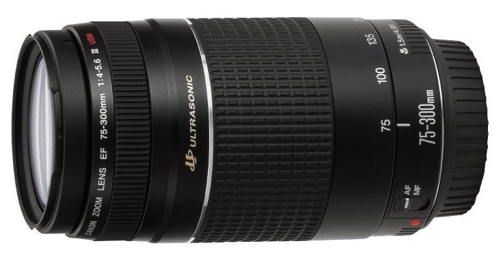 Купить объектив canon ef 75-300mm f/4-5.6 iii usm в Москве. В нашем каталоге интернет-магазина icover.ru вы можете ознакомиться с ценами, подробным описанием, фотографиями и техническими характеристиками. Низкие цены. Высокое качество. Доставка по России. Заказать товары по телефону +7(495)229-39-50 Объектив Canon EF 75-300mm f/4-5.6 III USM купить в интернет-магазине icover