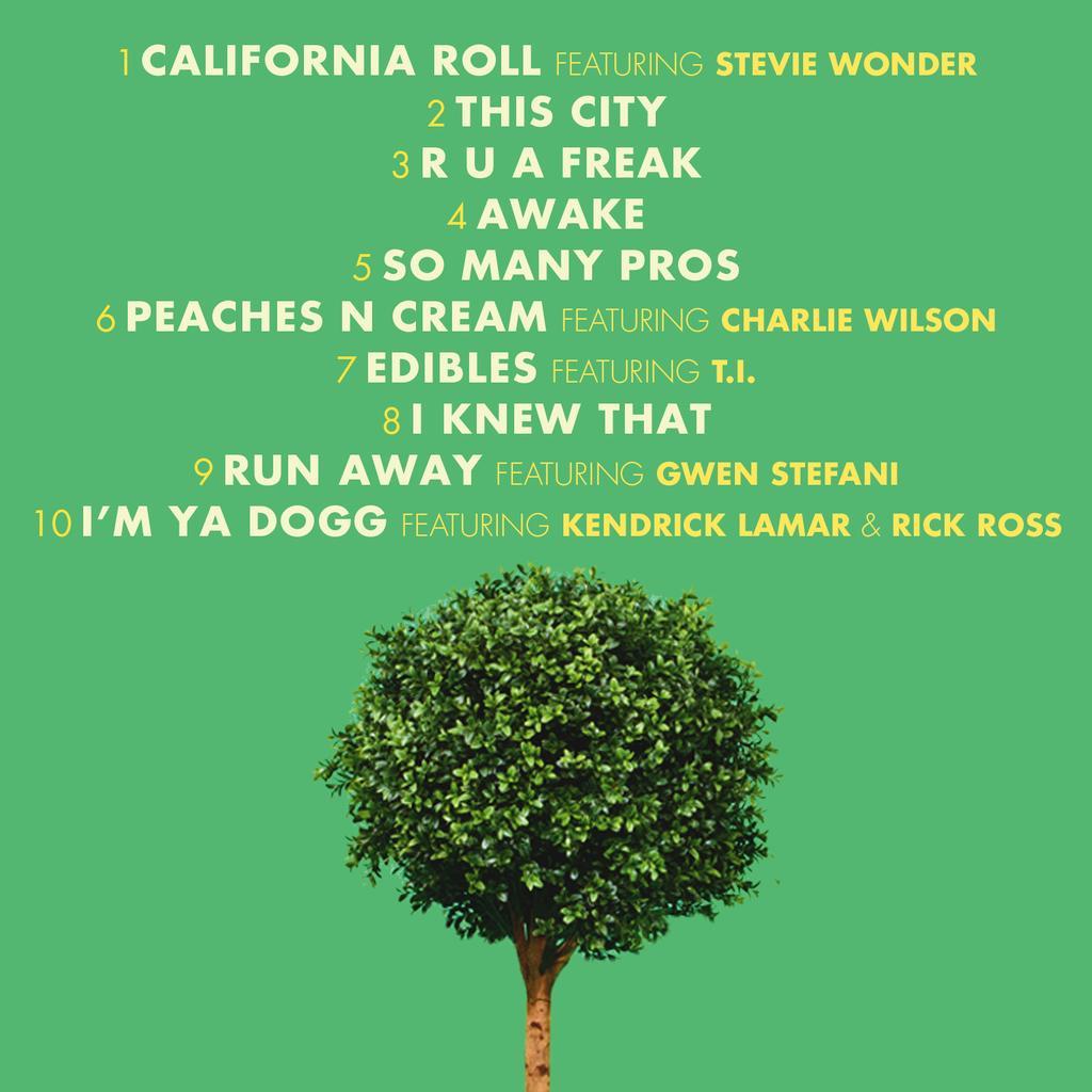 Виниловая пластинка Snoop Dogg - Bush (2015) купить в интернет-магазине icover