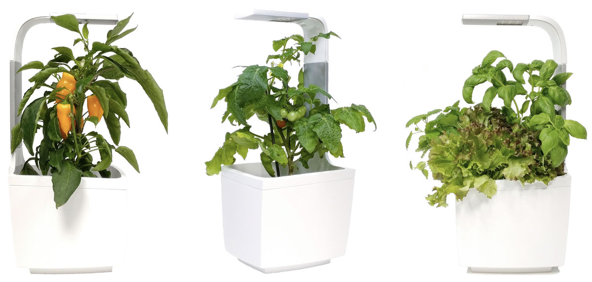 Умный сад Tregren T3 Kitchen Garden (White) купить в интернет-магазине icover