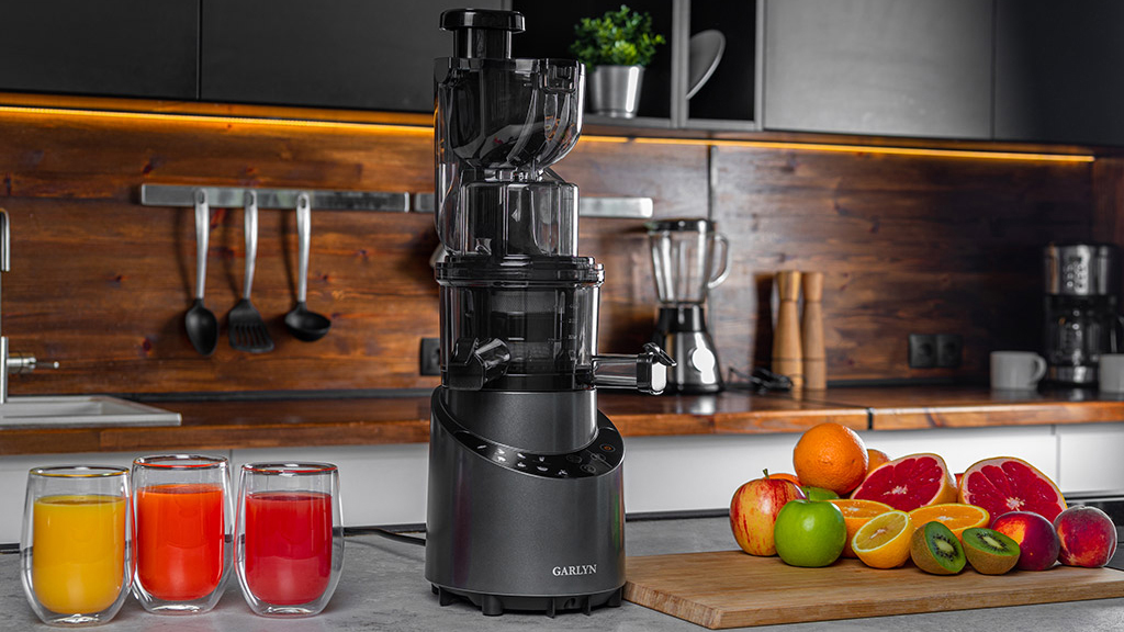 Соковыжималка Garlyn J-600 Max (Black) купить в интернет-магазине icover