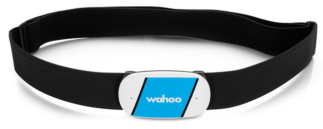Гаджет Wahoo Fitness TICKR WFBTHR02Z купить в интернет-магазине icover