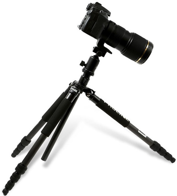Dolica Proline Carbon Fiber Tripod (ZX600B103) - штатив для фотокамер  купить в интернет-магазине icover