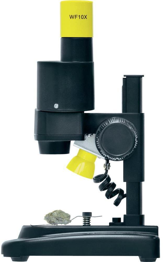 National Geographic Microscop Stereo 20x (9119000) - цифровой микроскоп (Black/Yellow) купить в интернет-магазине icover