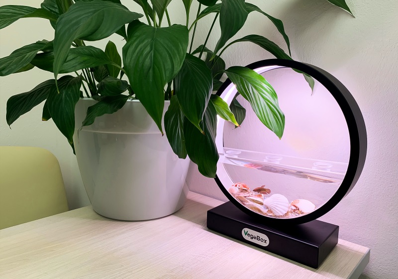 Садовая ферма VegeBox (Black) купить в интернет-магазине icover