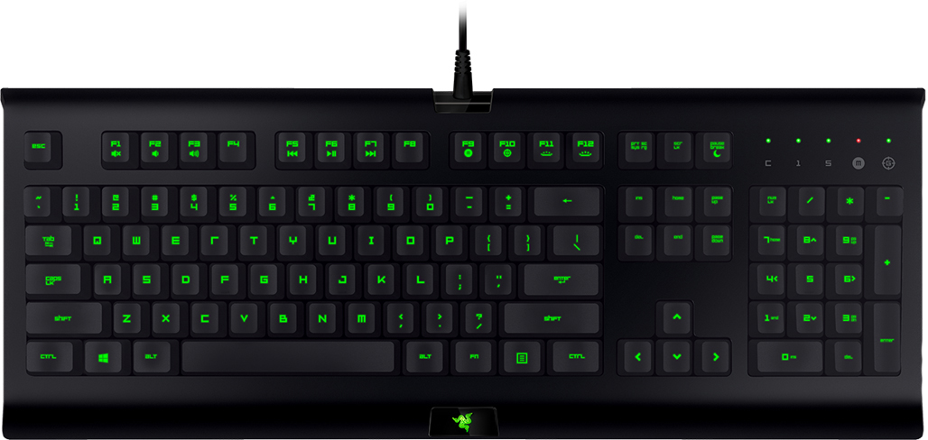 Игровая клавиатура Razer Cynosa Pro RZ03-01470200-R3R1 (Black) купить в интернет-магазине icover
