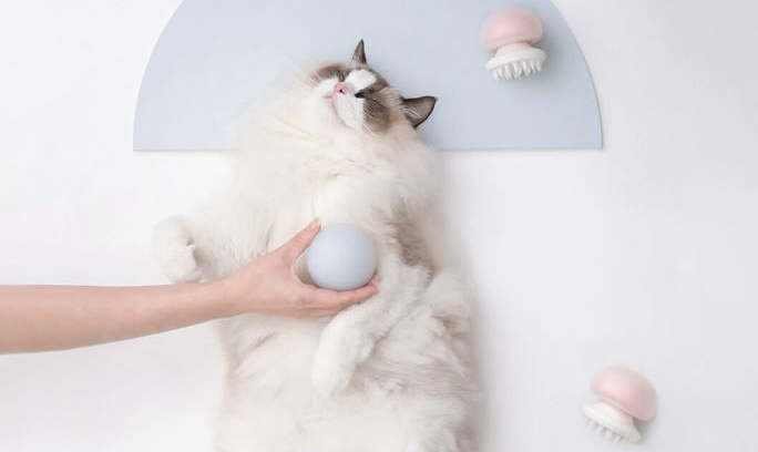 Массажер для кошек Xiaomi JellyFish Pet Massage Comb (Pink) купить в интернет-магазине icover