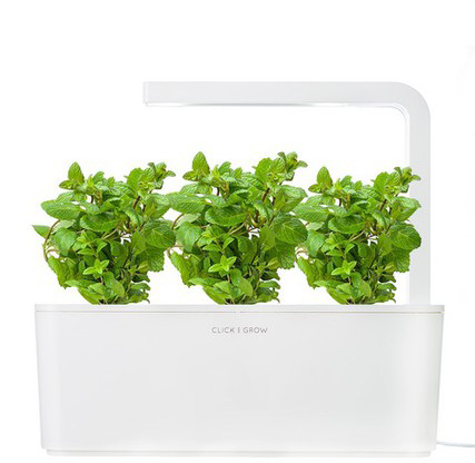 Комплект картриджей Click & Grow Мята 3 Pack купить в интернет-магазине icover