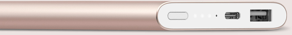 Внешний аккумулятор Xiaomi Power Bank Pro 10000 mAh Type-C (Gold) купить в интернет-магазине icover