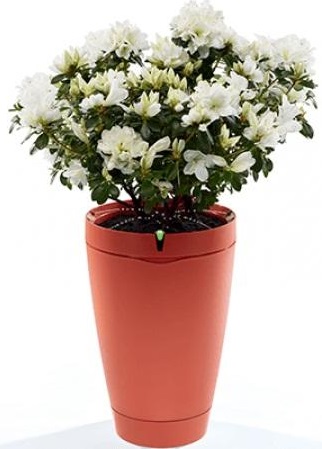 Датчик-горшок для растений Parrot Pot (Red) купить в интернет-магазине icover