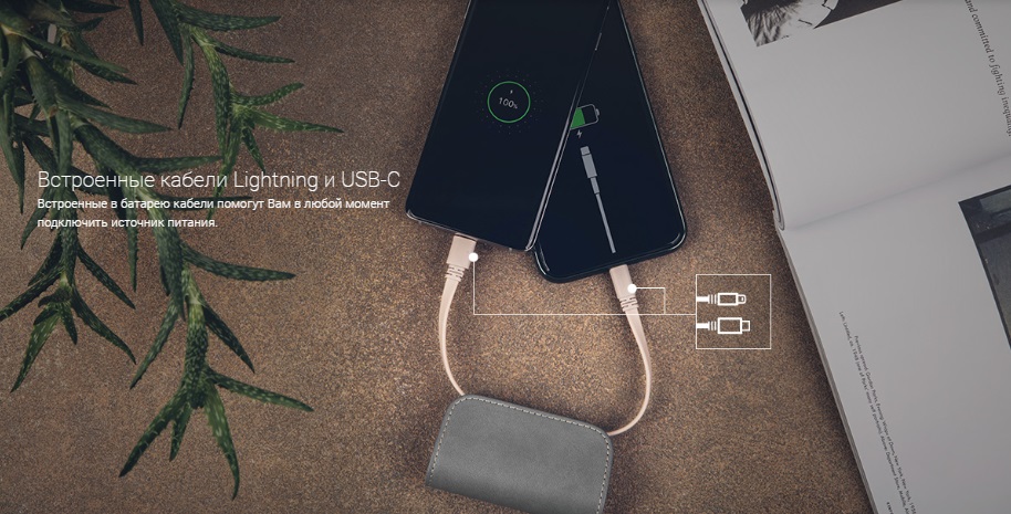 Внешний аккумулятор Moshi IonGo 5K (99MO022024) USB-A/Lightning (Fossil Gray) купить в интернет-магазине icover