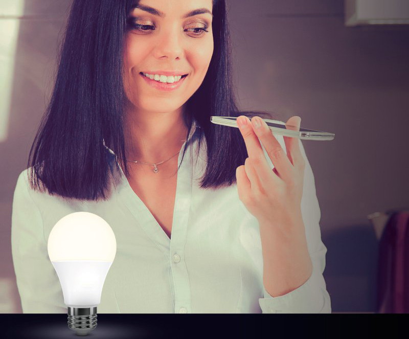 Умная лампа Gosund Nitebird Smart Bulb E27 RGB (WB4) купить в интернет-магазине icover