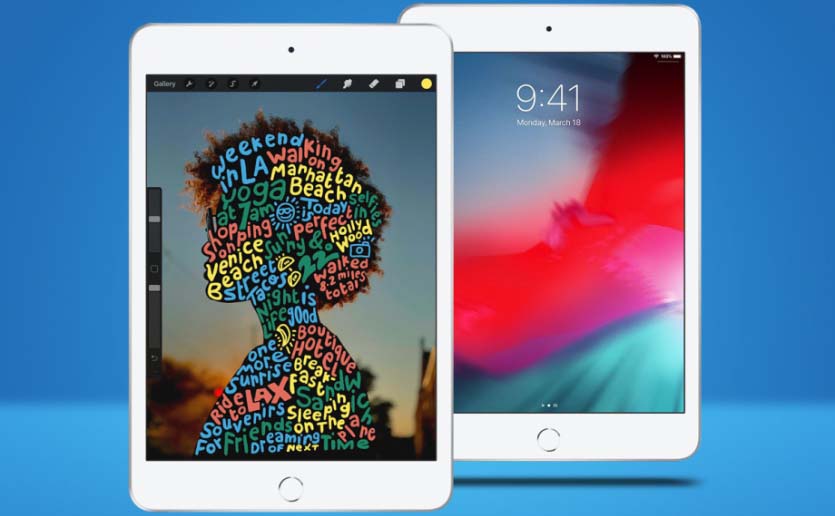 Планшет Apple iPad mini 2019 Wi-Fi + Cellular 256Gb MUXC2RU/A Space Grey купить в интернет-магазине icover