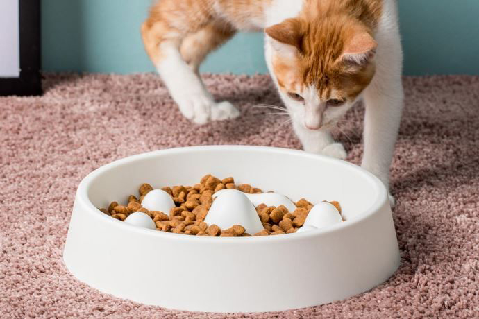 Миска для корма Xiaomi Jordan&Judy Pet Slow Bowl (White) купить в интернет-магазине icover