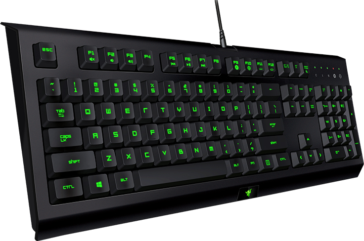 Игровая клавиатура Razer Cynosa Pro RZ03-01470200-R3R1 (Black) купить в интернет-магазине icover