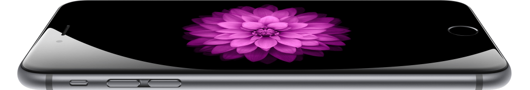 Apple iPhone 6 Plus 16Gb 5.5" Space Gray (MGAH2RU/A) с демо контентом купить в интернет-магазине icover