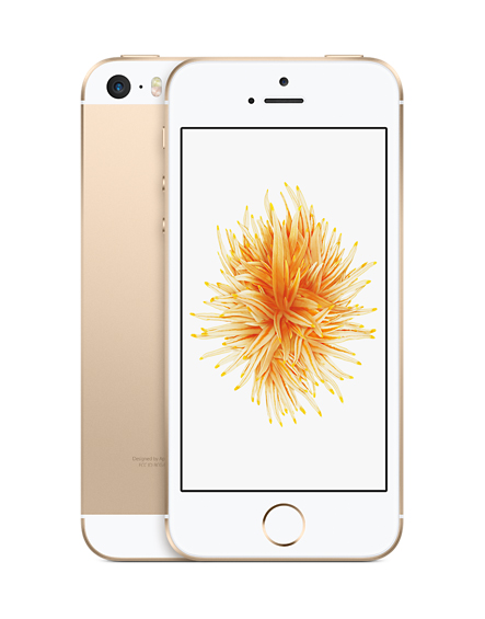 Смартфон Apple iPhone SE 16Gb 4 (Gold) купить в интернет-магазине icover