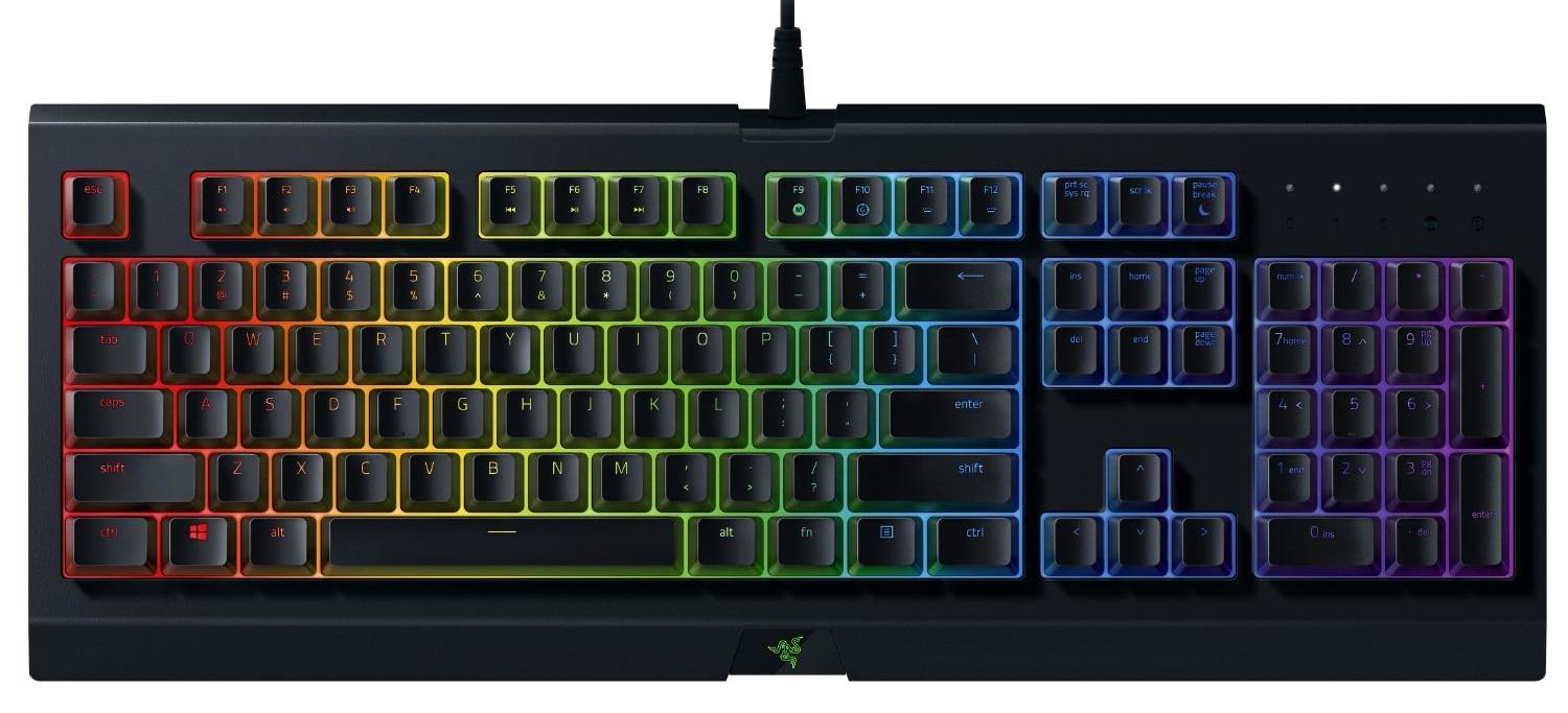 

Cynosa, Chroma