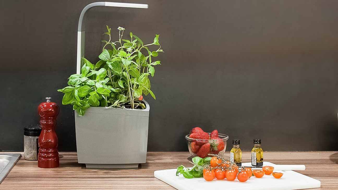 Умный сад Tregren T3 Kitchen Garden (Grey) купить в интернет-магазине icover