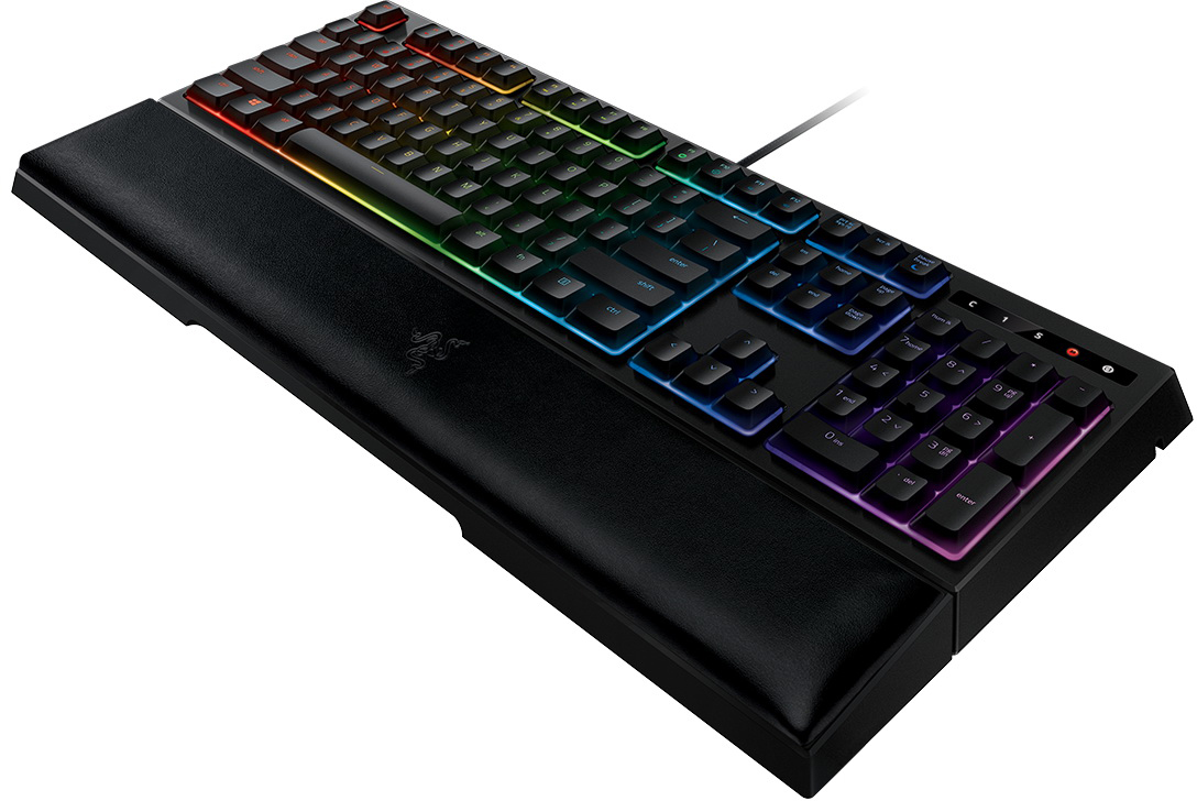 

Ornata Chroma