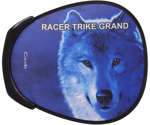 Capella Racer Trike Grand (GL000021170) - детский велосипед (Blue) купить в интернет-магазине icover