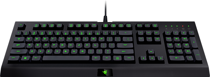 Игровая клавиатура Razer Cynosa Pro RZ03-01470200-R3R1 (Black) купить в интернет-магазине icover