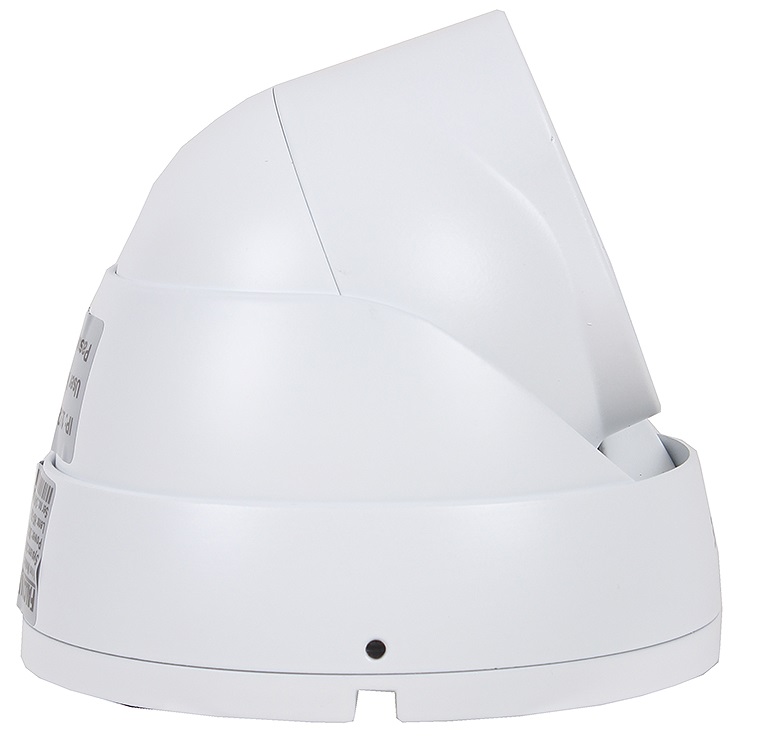Уличная купольная IP-камера Falcon Eye (FE-IPC-DL100P) купить в интернет-магазине icover