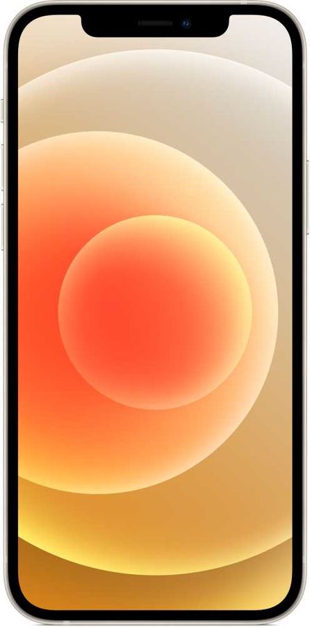 Смартфон Apple iPhone 12 64Gb MGJ63RU/A (White) купить в интернет-магазине icover