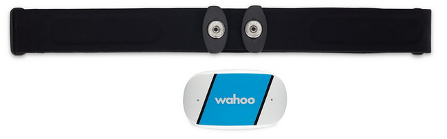 Гаджет Wahoo Fitness TICKR WFBTHR02Z купить в интернет-магазине icover