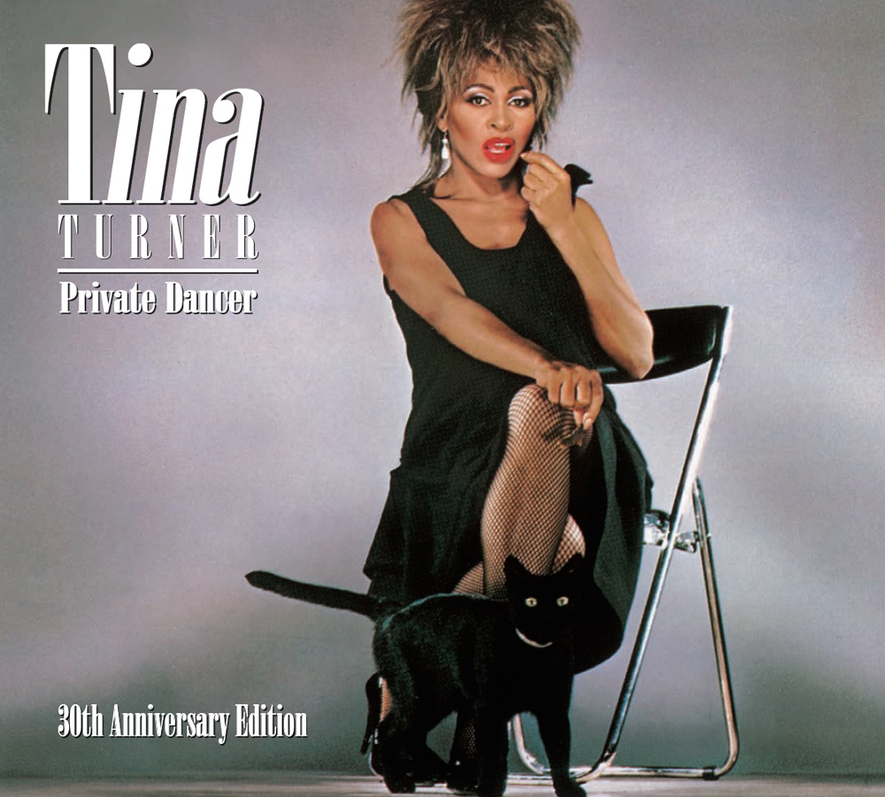 i am a private dancer i am a private dancer
