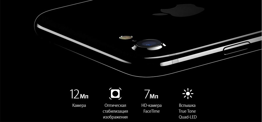 Смартфон Apple iPhone 7 256Gb (Jet Black) купить в интернет-магазине icover