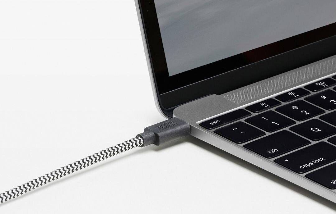 Кабель Native Union Belt (BELT-C-ZEB) USB-C to USB-C 2.4m (Zebra) купить в интернет-магазине icover