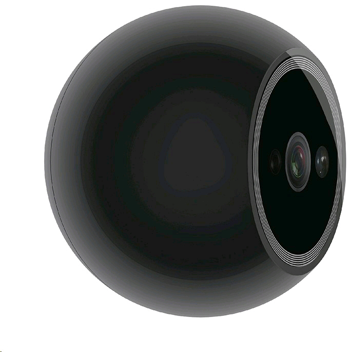 Беспроводная IP-камера Amaryllo iCamPRO FHD Robot Security FB0044B (Black) купить в интернет-магазине icover