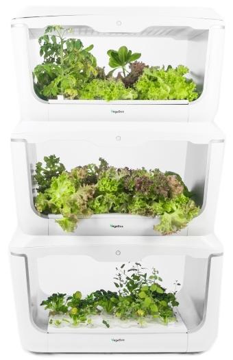 Домашняя ферма VegeBox H-BOX Level 3 (White) купить в интернет-магазине icover