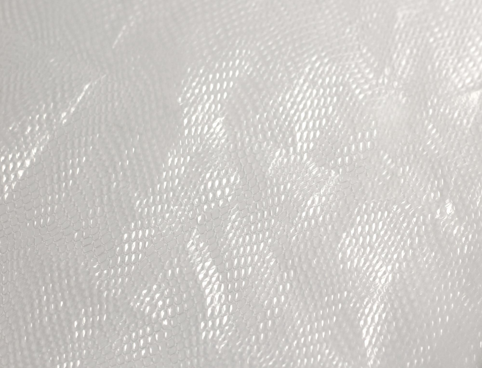 Штора для ванной комнаты Ridberg Кожа PEVA 180 x 200 см (Clear) купить в интернет-магазине icover