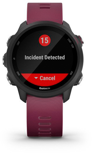 Умные часы Garmin Forerunner 245 GPS 010-02120-11 (Black/Berry) купить в интернет-магазине icover