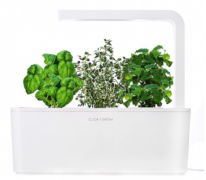 Картридж Click & Grow Мелисса 3 шт купить в интернет-магазине icover